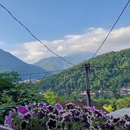 Slatki Dom Fireplace 科尼茨 外观 照片